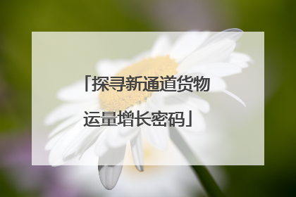 探寻新通道货物运量增长密码