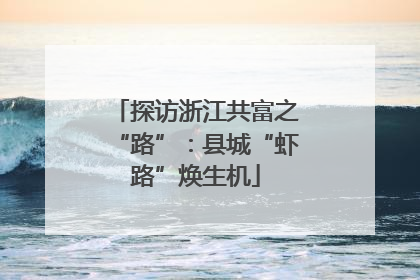 探访浙江共富之“路”：县城“虾路”焕生机