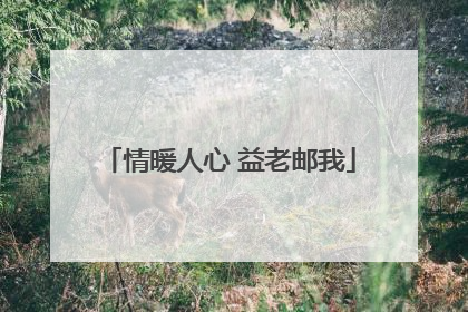 情暖人心 益老邮我