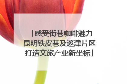感受街巷咖啡魅力 昆明铁皮巷及巡津片区打造文旅产业新坐标