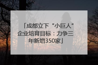 成都立下“小巨人”企业培育目标：力争三年新增350家
