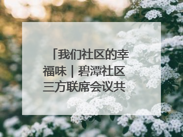 我们社区的幸福味｜碧潭社区三方联席会议共建紫岫幸福家