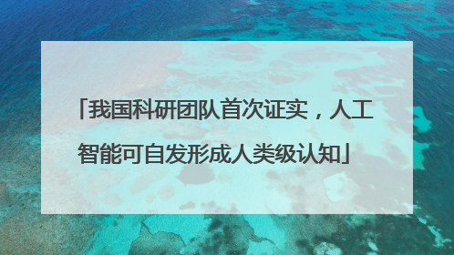 我国科研团队首次证实，人工智能可自发形成人类级认知