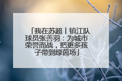 我在苏超丨镇江队球员张善羽：为城市荣誉而战，把更多孩子带到绿茵场