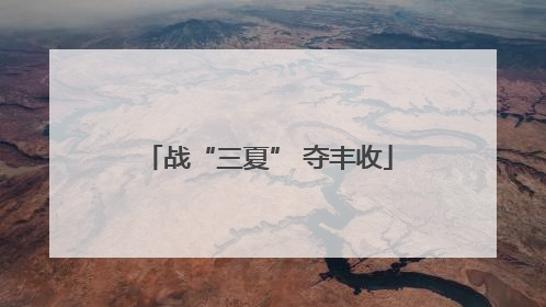 战“三夏” 夺丰收