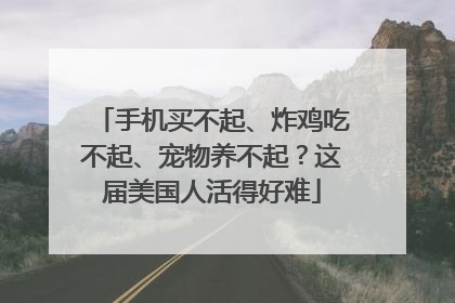 手机买不起、炸鸡吃不起、宠物养不起？这届美国人活得好难