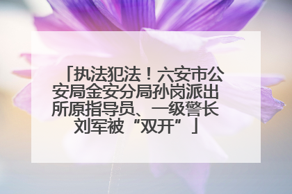 执法犯法！六安市公安局金安分局孙岗派出所原指导员、一级警长刘军被“双开”