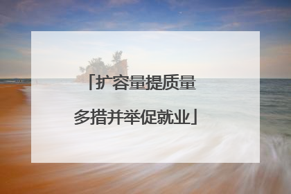 扩容量提质量 多措并举促就业