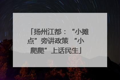 扬州江都：“小摊点”旁讲政策 “小爬爬”上话民生