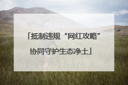 抵制违规“网红攻略” 协同守护生态净土