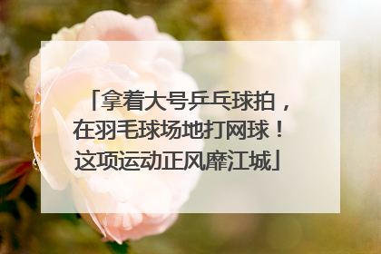 拿着大号乒乓球拍，在羽毛球场地打网球！这项运动正风靡江城