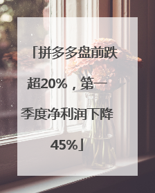 拼多多盘前跌超20%，第一季度净利润下降45%