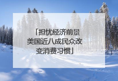 担忧经济前景 美国近八成民众改变消费习惯
