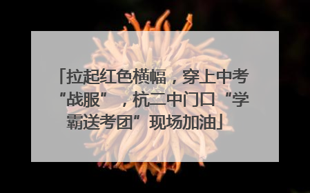 拉起红色横幅，穿上中考“战服”，杭二中门口“学霸送考团”现场加油