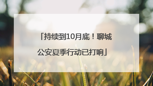 持续到10月底！聊城公安夏季行动已打响