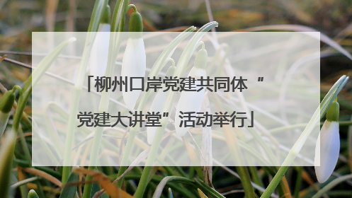 柳州口岸党建共同体“党建大讲堂”活动举行