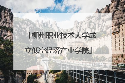 柳州职业技术大学成立低空经济产业学院