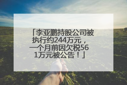 李亚鹏持股公司被执行约244万元，一个月前因欠税561万元被公告！