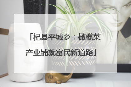 杞县平城乡：橄榄菜产业铺就富民新道路