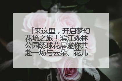 来这里，开启梦幻花境之旅！滨江森林公园绣球花展邀你共赴一场与云朵、花儿的浪漫之约