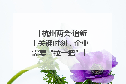杭州两会·追新丨关键时刻，企业需要“拉一把”
