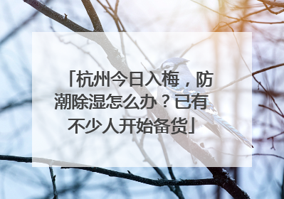 杭州今日入梅，防潮除湿怎么办？已有不少人开始备货