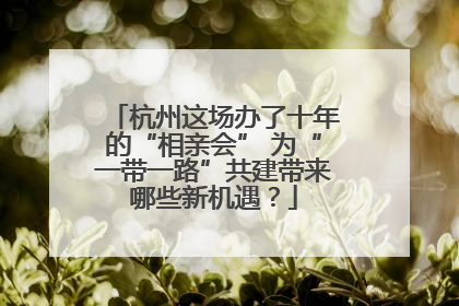 杭州这场办了十年的“相亲会” 为“一带一路”共建带来哪些新机遇？