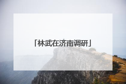 林武在济南调研