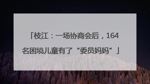 枝江：一场协商会后，164名困境儿童有了“委员妈妈”