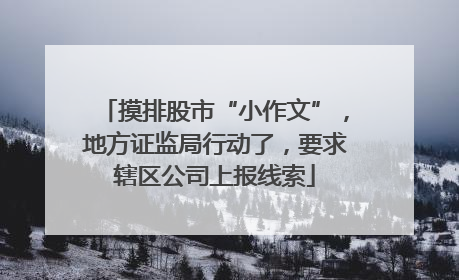摸排股市“小作文”，地方证监局行动了，要求辖区公司上报线索
