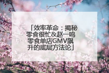 效率革命：揭秘零食很忙&赵一鸣零食单店GMV飙升的底层方法论