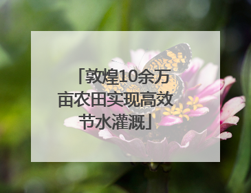 敦煌10余万亩农田实现高效节水灌溉