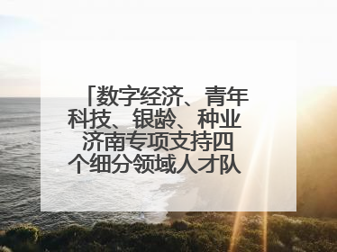数字经济、青年科技、银龄、种业 济南专项支持四个细分领域人才队伍建设