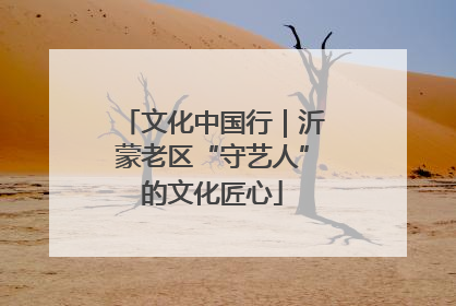 文化中国行｜沂蒙老区“守艺人”的文化匠心