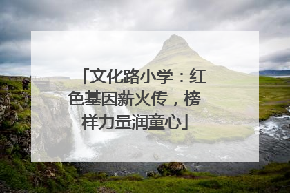 文化路小学：红色基因薪火传，榜样力量润童心
