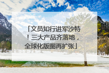 文员知行进军沙特！三大产品齐落地，全球化版图再扩张