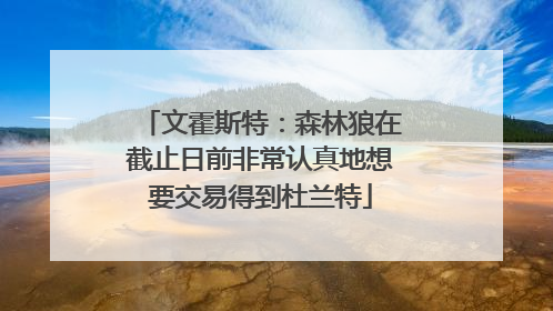 文霍斯特：森林狼在截止日前非常认真地想要交易得到杜兰特
