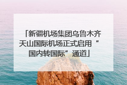新疆机场集团乌鲁木齐天山国际机场正式启用“国内转国际”通道