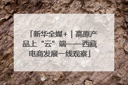 新华全媒+｜高原产品上“云”端——西藏电商发展一线观察