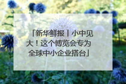 新华鲜报丨小中见大！这个博览会专为全球中小企业搭台