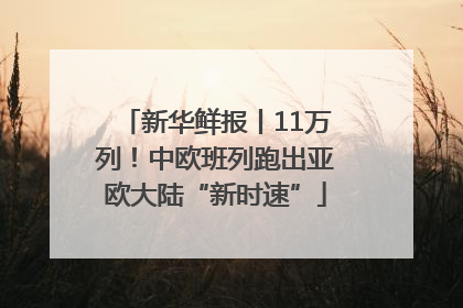 新华鲜报丨11万列！中欧班列跑出亚欧大陆“新时速”