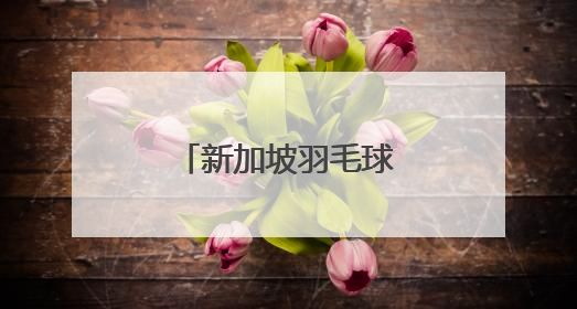 新加坡羽毛球公开赛丨陈雨菲夺得女单冠军