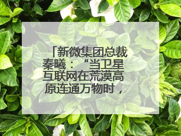 新微集团总裁秦曦：“当卫星互联网在荒漠高原连通万物时，成都的创新故事才真正开始”