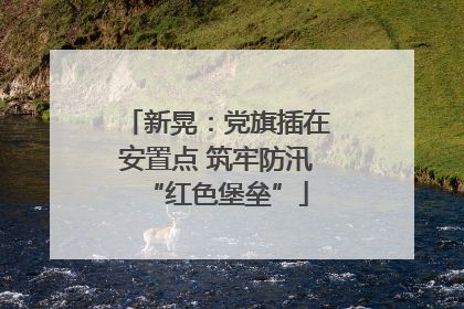 新晃：党旗插在安置点 筑牢防汛“红色堡垒”