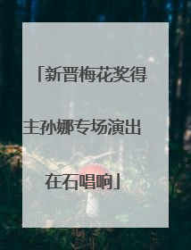 新晋梅花奖得主孙娜专场演出在石唱响