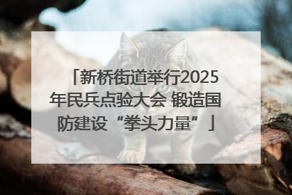 新桥街道举行2025年民兵点验大会 锻造国防建设“拳头力量”