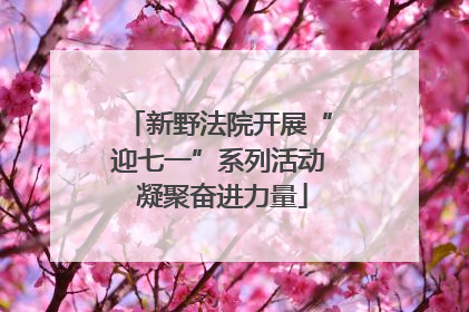 新野法院开展“迎七一”系列活动 凝聚奋进力量