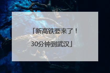 新高铁要来了！30分钟到武汉