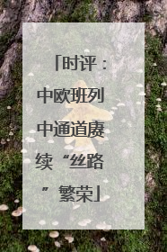 时评：中欧班列中通道赓续“丝路”繁荣
