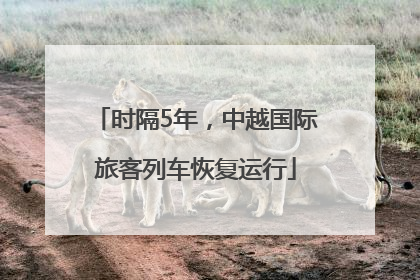 时隔5年，中越国际旅客列车恢复运行